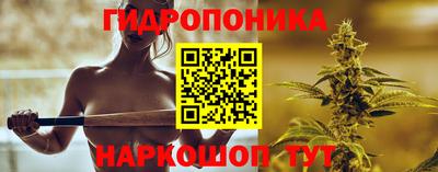трава Кунгур