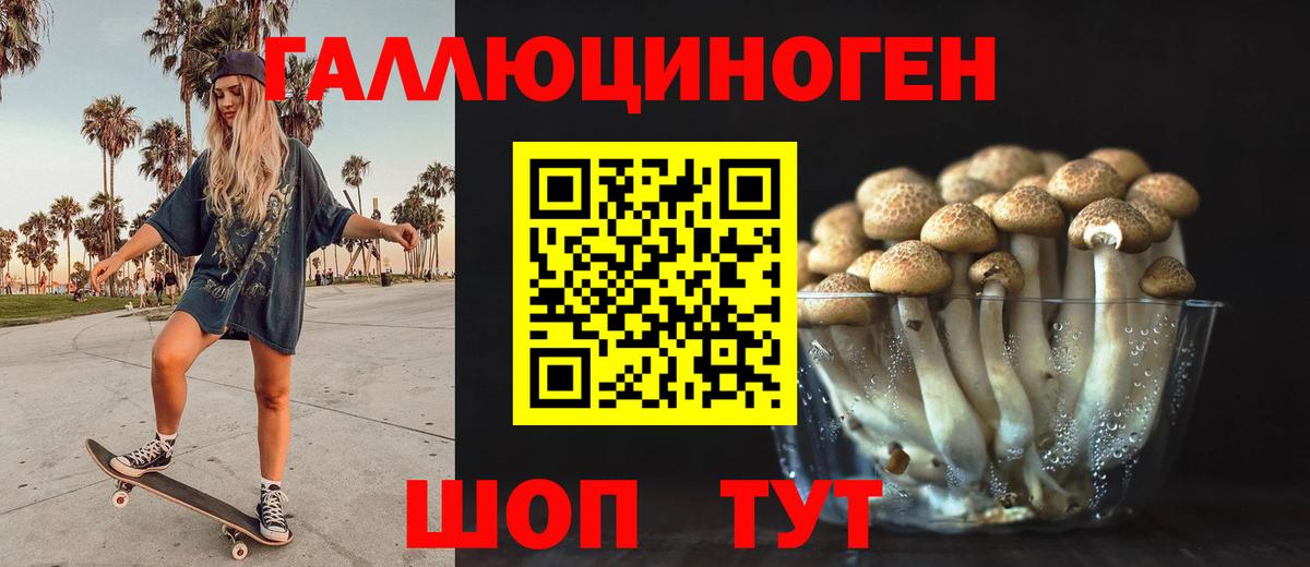 Калуга  что такое   Вход с VPN  Галлюциногенные грибы Cubensis  Псилоцибиновые грибы мухоморы 