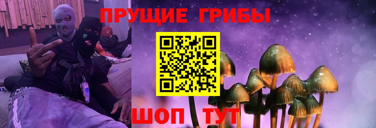 Галлюциногенные грибы мицелий Калуга